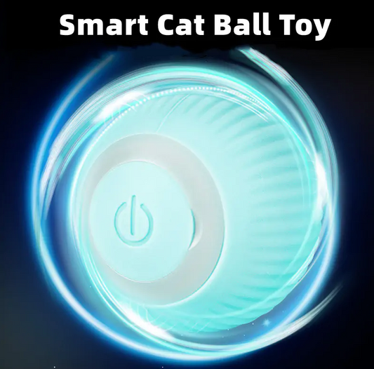 The Smart Kitty Ball