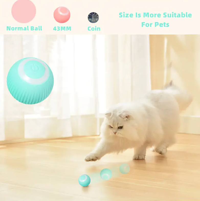 The Smart Kitty Ball